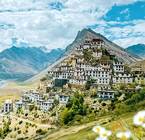 North India Tour